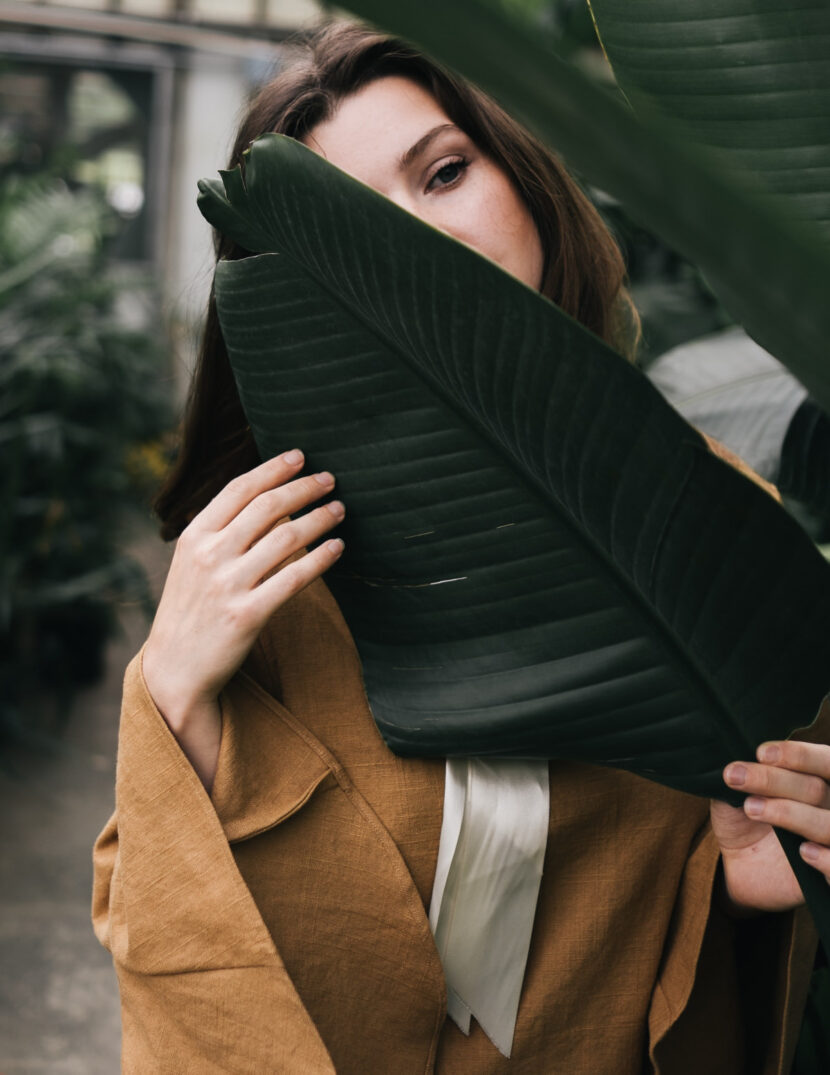 Since You Need A Green Light image-2951-new